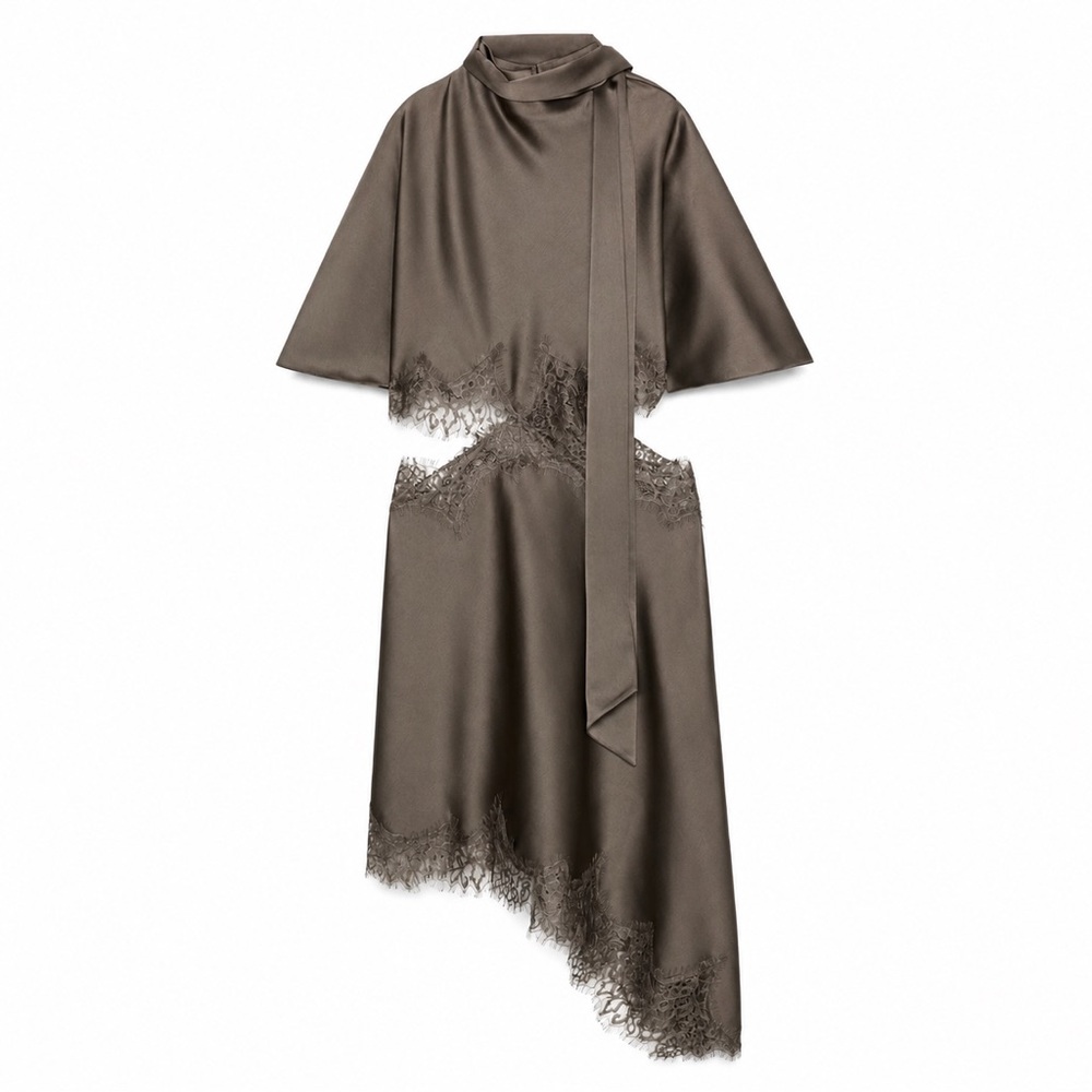 ZARA ZW Collection Satin Effect Lace Dress – Mink – High Neck Scarf Dress – NWT
